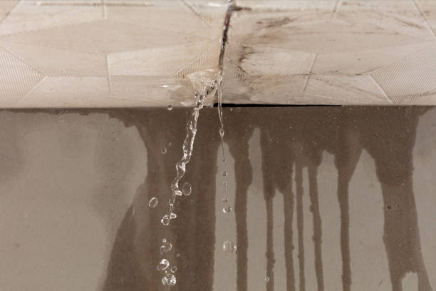 Professional Water Damage Repair technician working in Dimmitt, TX